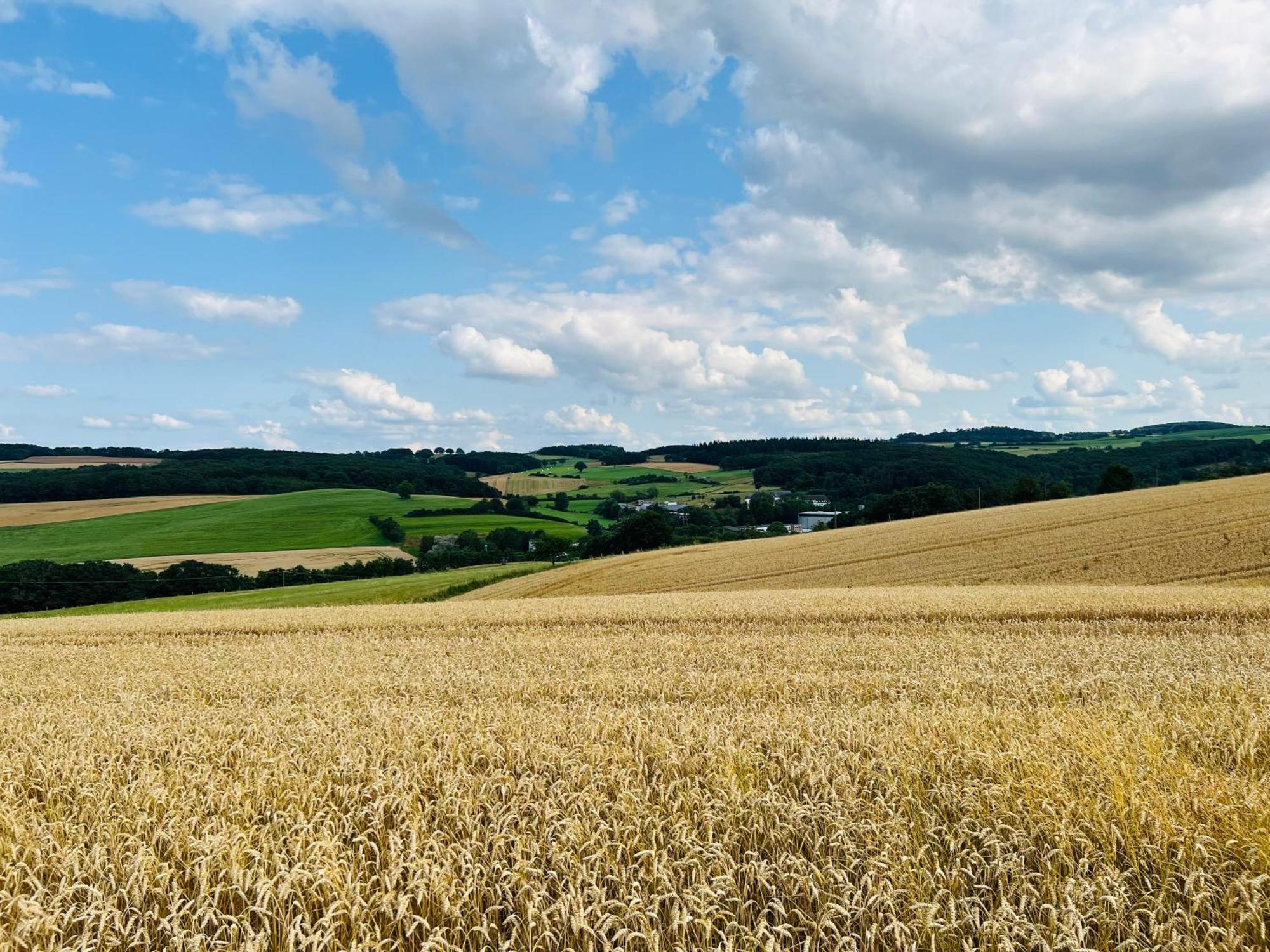 Ferienwohnung In Der Schoenen Eifel! ميشرنيش المظهر الخارجي الصورة